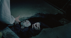 Носферату: Призрак ночи / Nosferatu the Vampyre / Nosferatu: Phantom der Nacht (1979) BDRip 720p, 1080p, BD-Remux