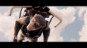 Шимпанзе под прикрытием / C.I.Ape (2021) WEB-DL 1080p