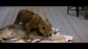 Волк и лев / The Wolf and the Lion / Le loup et le lion (2021) BDRip 1080p, BD-Remux, 4K HDR WEB-DL 2160p