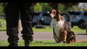 Руби, собака-спасатель / Rescued by Ruby (2022) WEB-DL 1080p