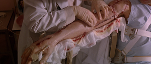 Расчлененное тело / Body Parts (1991) BDRip 720p, 1080p, BD-Remux