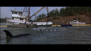   2:   / Free Willy 2: The Adventure Home (1995) WEB-DL 1080p