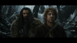 :   / The Hobbit: The Desolation of Smaug (2013) [Extended Edition] 4K HDR BD-Remux