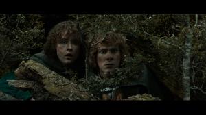  :   / The Lord of the Rings: The Fellowship of the Ring (2001) [Extended Edition] 4K HDR BD-Remux  + Dolby Vision