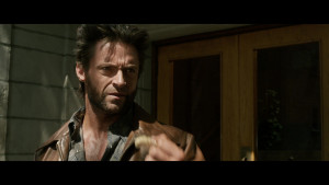  :   .  "" / X-Men: Days of Future Past. The Rogue Cut (2014) BDRip 720p, 1080p, BD-Remux