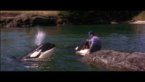   2:   / Free Willy 2: The Adventure Home (1995) WEB-DL 1080p