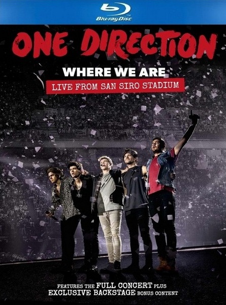 One Direction: Where We Are - Live From San Siro Stadium (2014) BDRip 1080p
